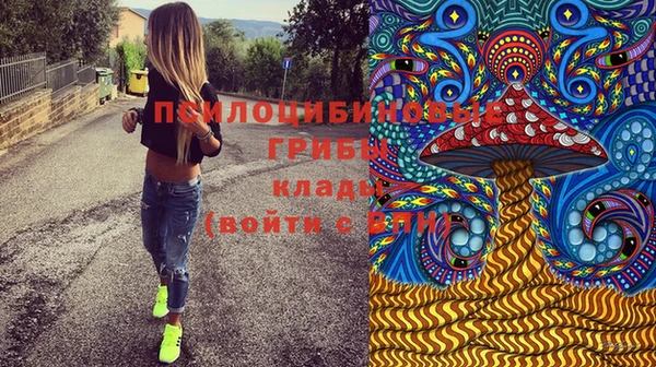 бошки Горнозаводск