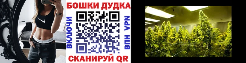 OMG как войти Правдинск Бошки марихуана SATIVA & INDICA